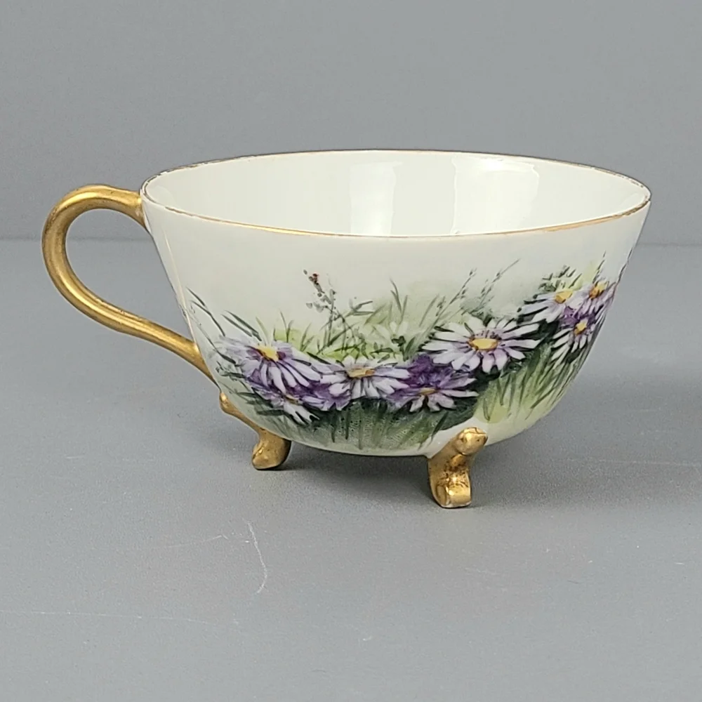 W.G. Co. France Hand Painted Porcelain Gold Footed Vintage Teacup